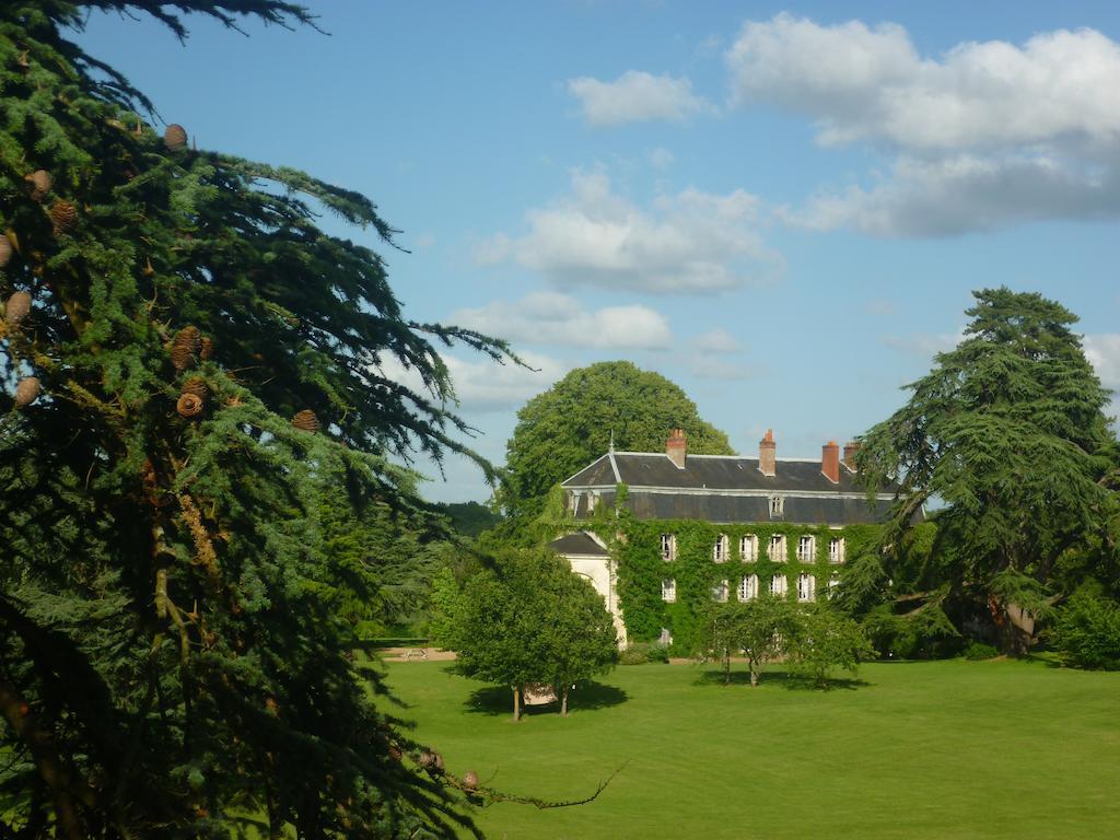 Bed and Breakfast - Château du Vau Ballan-Miré Exterior foto
