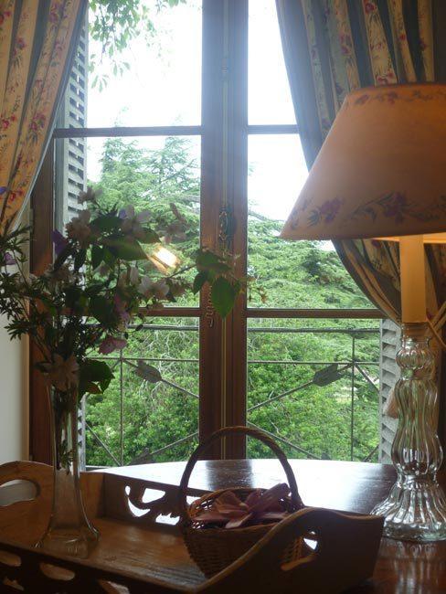 Bed and Breakfast - Château du Vau Ballan-Miré Zimmer foto